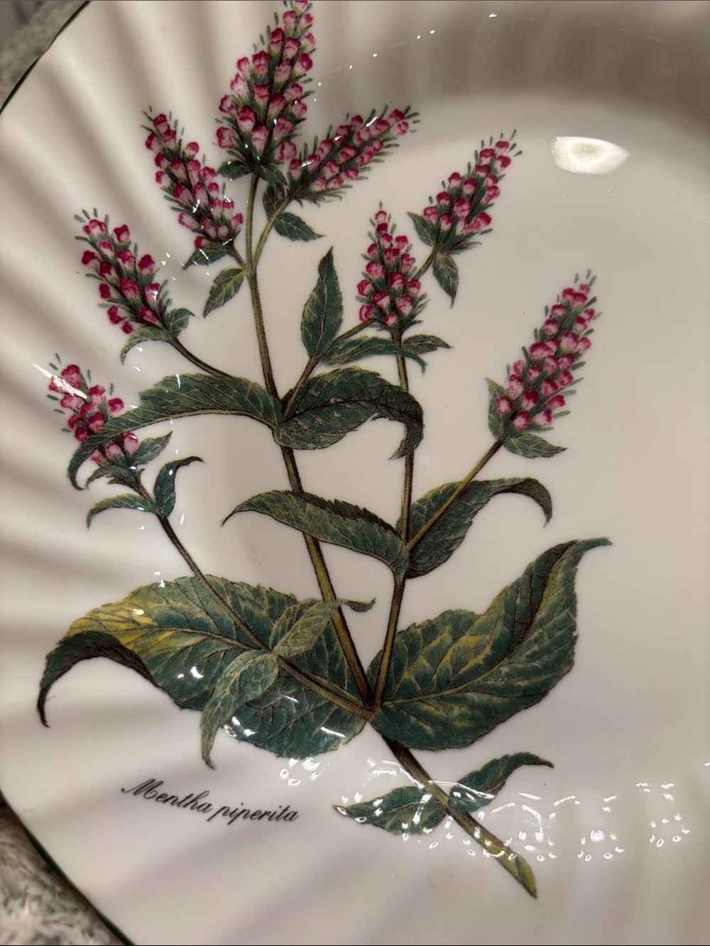 Royal Patrician Fine Bone China Pink Botanical Serve Dish England NWT 8” - Picture 2 of 14